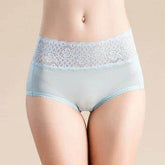 Silk Panties - 100% Natural Silk & Lace High Rise Briefs - LANI SILK