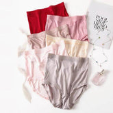 Silk Panties - Natural High Waist Briefs Transparent Underwear - LANI SILK