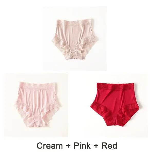 Silk Panties - Natural High Waist Lace Plus Transparent Underwear - LANI SILK 