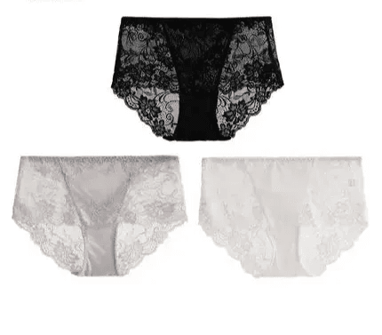 Silk Panties - Lace Briefs Seamless Transparent Lingerie - LANI SILK 