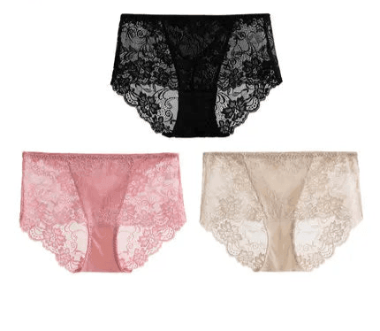 Silk Panties - Lace Briefs Seamless Transparent Lingerie - LANI SILK 