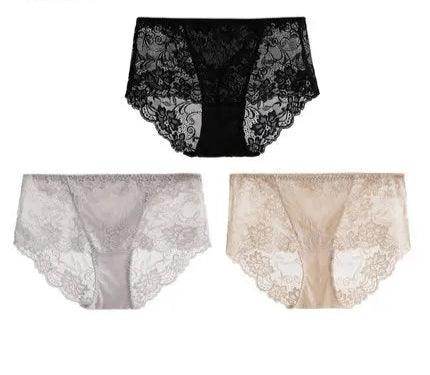 Silk Panties - Lace Briefs Seamless Transparent Lingerie - LANI SILK 