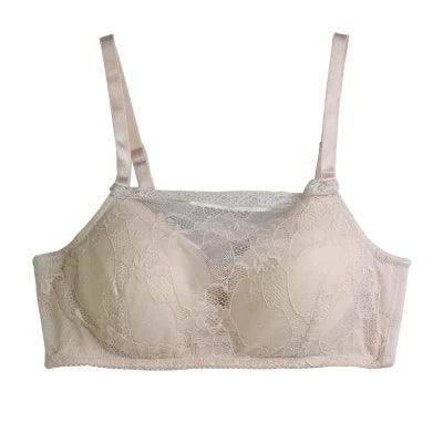 Silk Bra - Lining Lace Wire Free Comfortable Padding - LANI SILK 