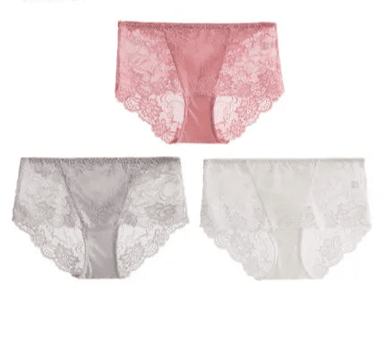 Silk Panties - Lace Briefs Seamless Transparent Lingerie - LANI SILK 