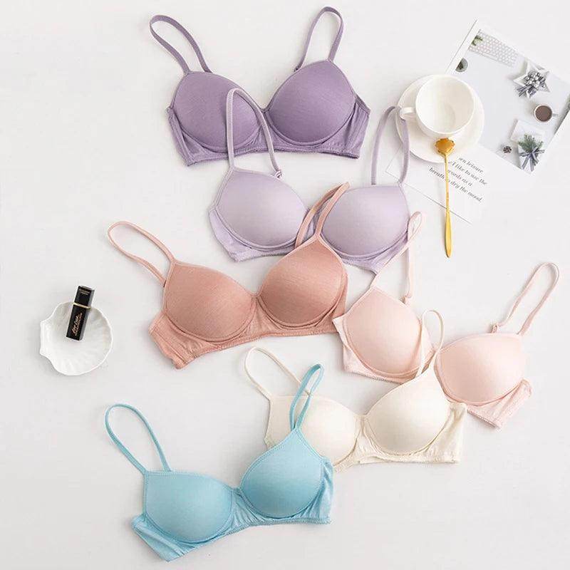 Silk Bra - Natural Push Up Seamless Wire Free Sexy Lingerie - LANI SILK 