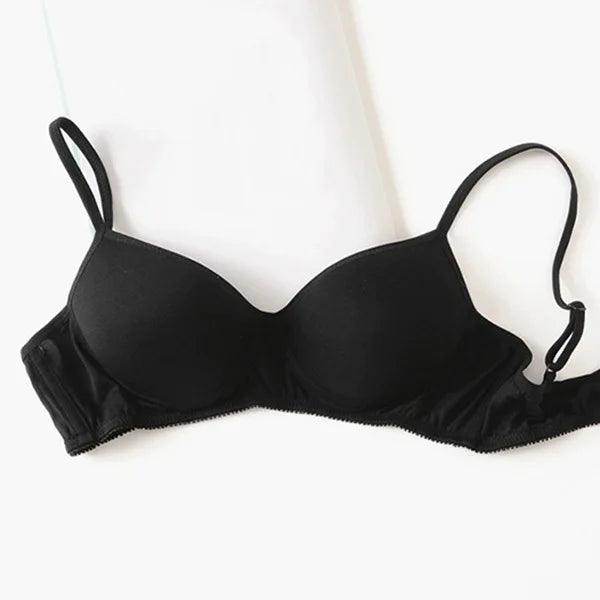 Silk Bra - Natural Push Up Seamless Wire Free Sexy Lingerie - LANI SILK 