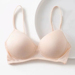 Silk Bra Natural Lingerie Seamless Wire Female Underwear