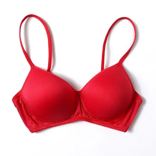 Silk Bra Wireless Pure Seamless Padded Push Up Underwear