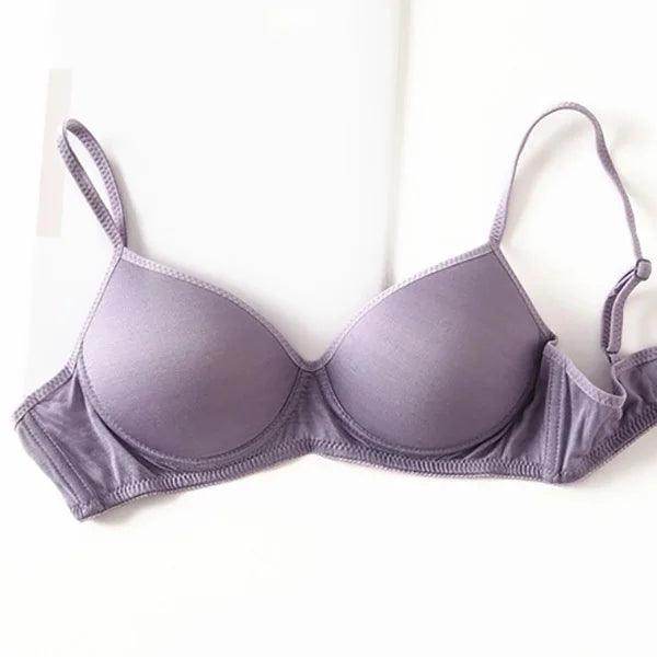 Silk Bra - Natural Push Up Seamless Wire Free Sexy Lingerie - LANI SILK 