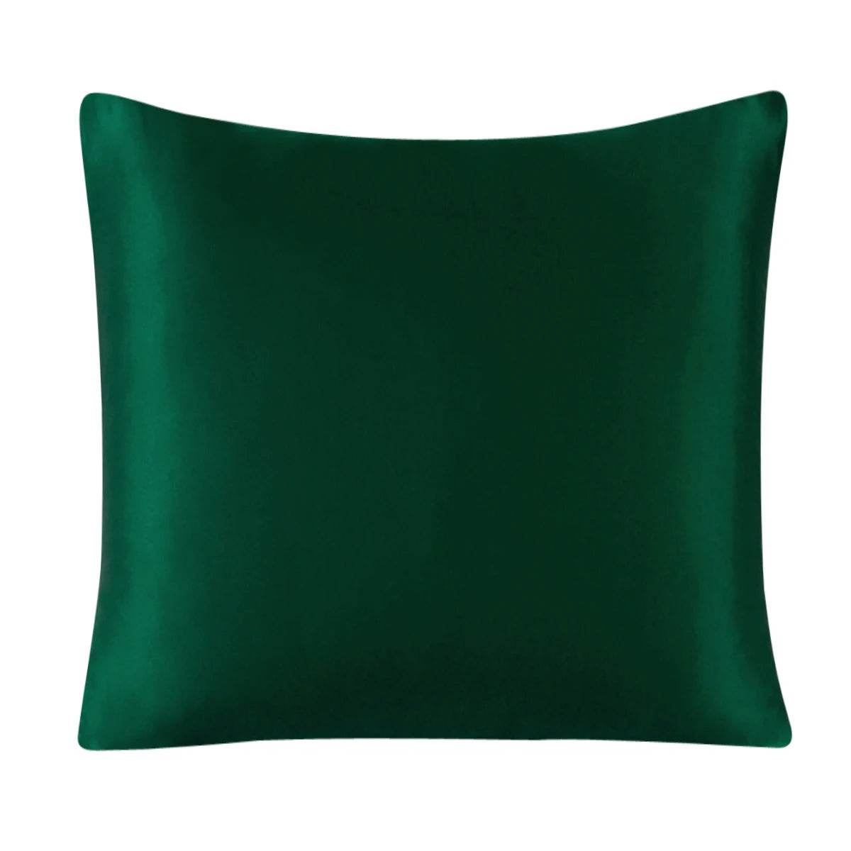 Silk Pillowcases - Zipper Closure Solid Colors Multiple Sizes - LANI SILK 